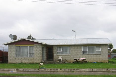 Photo of property in 18 Beatty Street, Levin, 5510