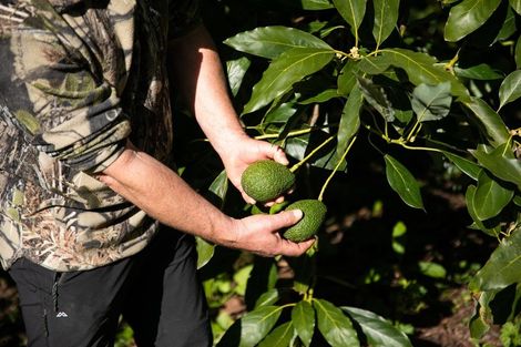 Photo of property in 229 Athenree Road, Athenree, Waihi Beach, 3177