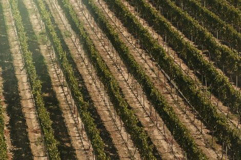 Photo of property in 3 Holloway Street, Clyde, 9330