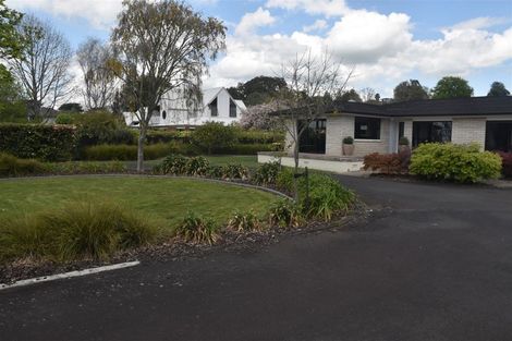 Photo of property in 48 Addison Street, Leamington, Cambridge, 3432