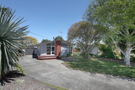Photo of property in 13 Nelson Street, Feilding, 4702
