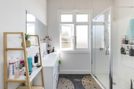 Photo of property in 53 Limbrick Street, Terrace End, Palmerston North, 4410