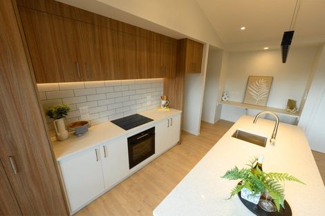 Photo of property in 25 Lumino Terrace, Peacocke, 3206