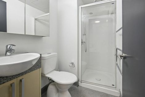 Photo of property in Dual Apartments, 210/142 Vivian Street, Te Aro, Wellington, 6011