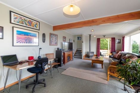 Photo of property in 113 Mulford Street, Concord, Dunedin, 9018