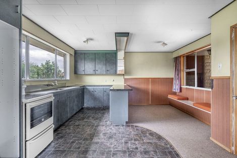 Photo of property in 38 Carlyle Street, Mataura, 9712