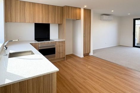 Photo of property in 1/116 Aldwins Road, Phillipstown, Christchurch, 8062