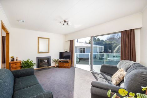Photo of property in 28 Elizabeth Place, Ferndale, New Plymouth, 4310