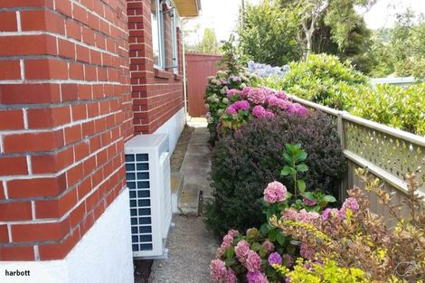 Photo of property in 5 Bone Street, Shiel Hill, Dunedin, 9013