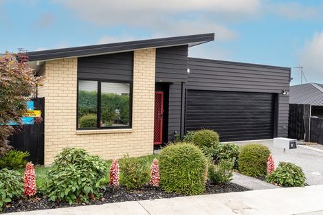 Photo of property in 16 Taotahi Avenue, Dinsdale, Hamilton, 3204