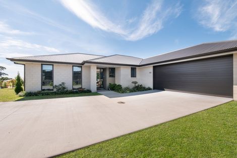 Photo of property in 56 Tynan Street, Te Puke, 3119