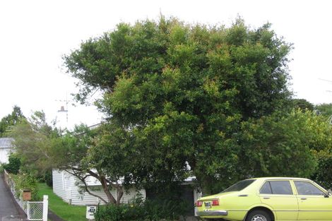 Photo of property in 44 Seaview Terrace, Mount Albert, Auckland, 1025