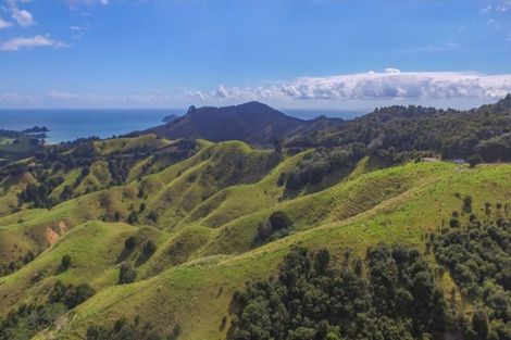 Photo of property in 15 Webb Road, Durie Hill, Whanganui, 4500