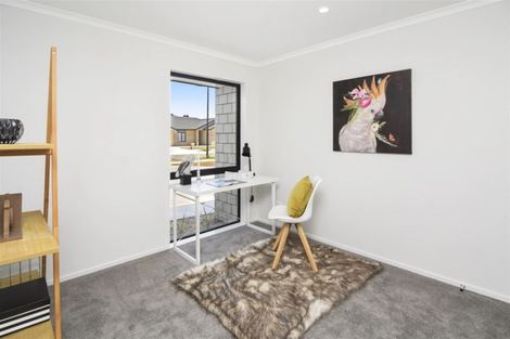 Photo of property in 14 Maggie Place, Chartwell, Hamilton, 3210