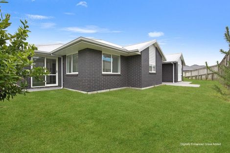 Photo of property in 19 Kirk Lane, Ohauiti, Tauranga, 3112