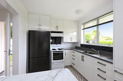 Photo of property in 220a Wolseley Street, Mayfair, Hastings, 4122