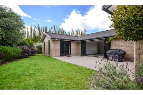 Photo of property in 53a Shepherd Road, Kerikeri, 0230