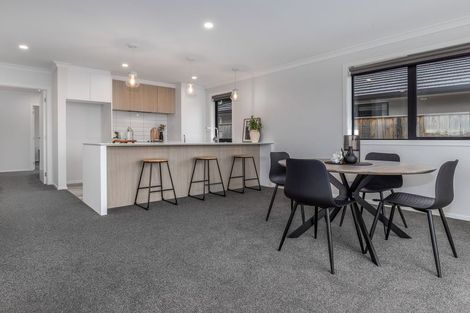 Photo of property in 79 Hinemoa Street, Levin, 5510