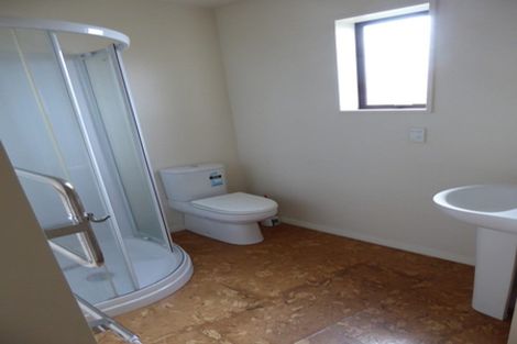 Photo of property in 16 Shortland Street, Caversham, Dunedin, 9011