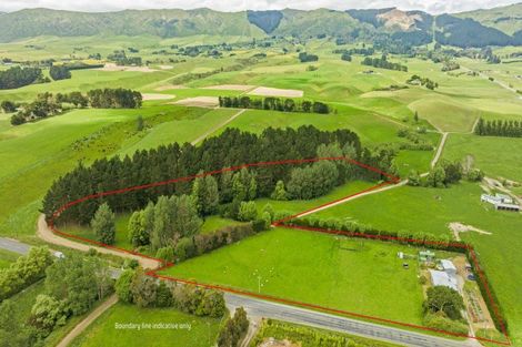 Photo of property in 1247 Tennent Drive, Linton, Palmerston North, 4472