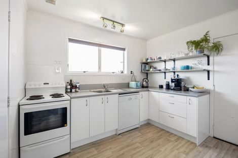 Photo of property in 58 Aurora Terrace, Hillcrest, Hamilton, 3216