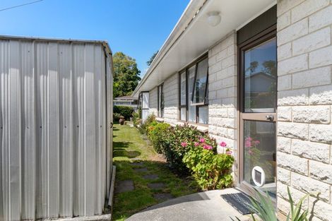 Photo of property in 28a Park Avenue, Masterton, 5810
