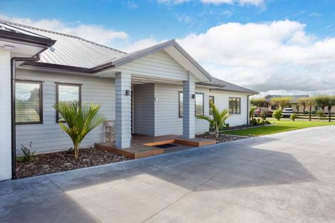 Photo of property in 136a Station Road, Matamata, 3472