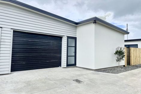 Photo of property in 2/155 Rimu Street, Maeroa, Hamilton, 3200