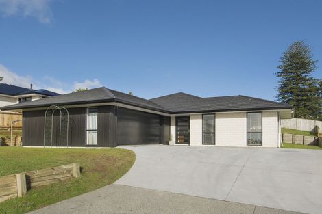 Photo of property in 101 Condor Drive, Pyes Pa, Tauranga, 3112