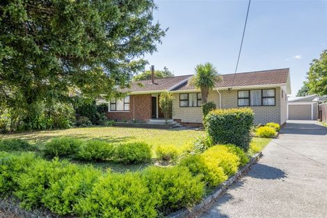 Photo of property in 63 Macarthur Street, Levin, 5510