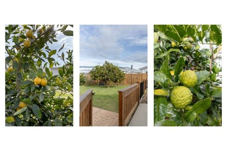 Photo of property in 33 Chadwick Road, Greerton, Tauranga, 3112