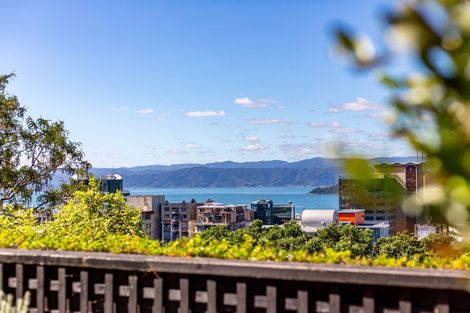 Photo of property in 25 Clermont Terrace, Kelburn, Wellington, 6012