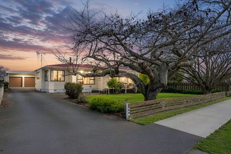 Photo of property in 149 Queen Street West, Levin, 5510