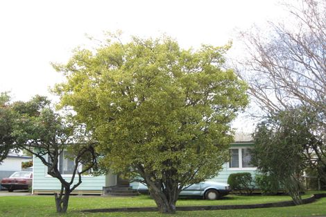 Photo of property in 1 Upham Street, Havelock North, 4130