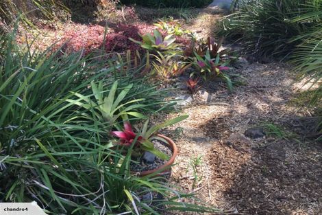 Photo of property in 88 Te Pua Road, Kaikohe, 0472