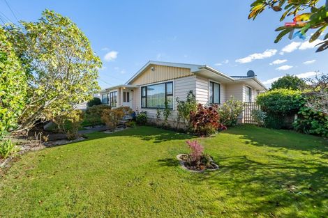 Photo of property in 1017 High Street, Avalon, Lower Hutt, 5011