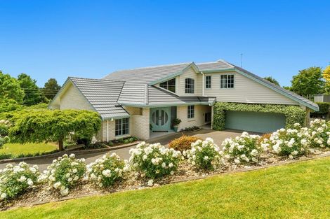 Photo of property in 17 Wallace Place, Tauriko, Tauranga, 3110