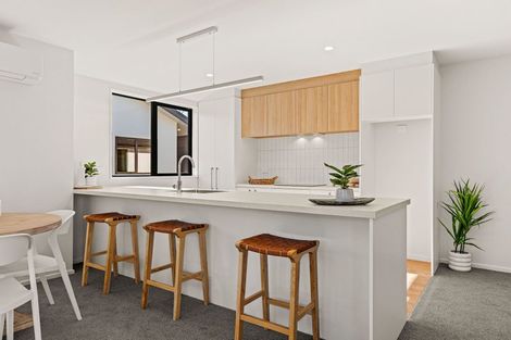 Photo of property in 101 Warden Street, Richmond, Christchurch, 8013