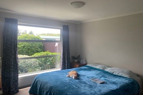 Photo of property in 133 Grove Street, Tinwald, Ashburton, 7700