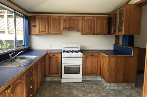 Photo of property in 51 Bidwill Street, Mount Cook, Wellington, 6021