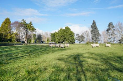 Photo of property in 275 Drysdale Road, Myross Bush, Invercargill, 9872