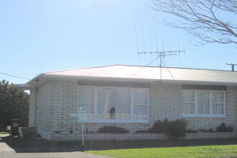 Photo of property in 2a Matai Street, Levin, 5510