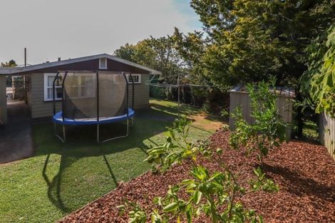 Photo of property in 15 Clark Place, Hillcrest, Hamilton, 3216