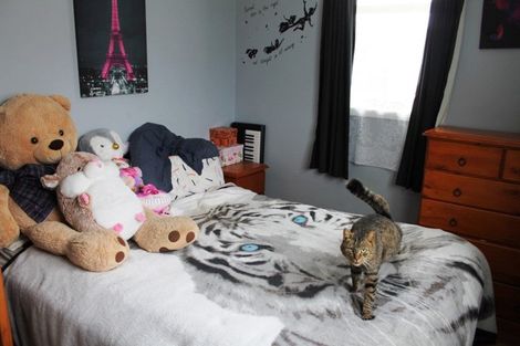 Photo of property in 31 Bear Street, Tirau, 3410