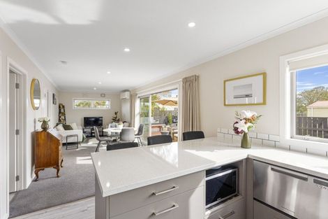 Photo of property in 7 Hall Street, Woodville, 4920