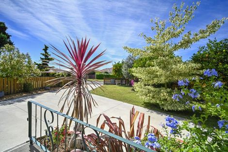 Photo of property in 711 Maitland Crescent, Mayfair, Hastings, 4122