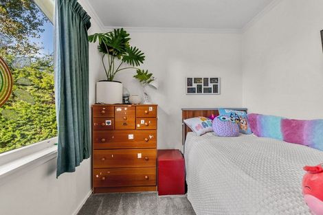 Photo of property in 25 Totara Terrace, Wanaka, 9305