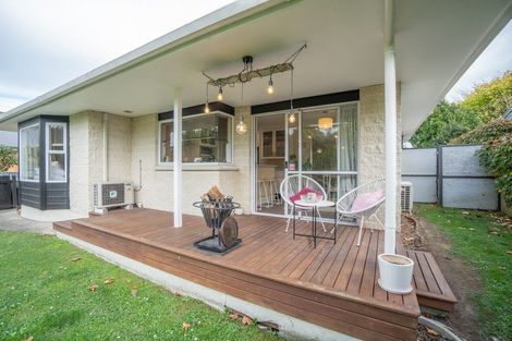 Photo of property in 17a Franklin Avenue, Hokowhitu, Palmerston North, 4410