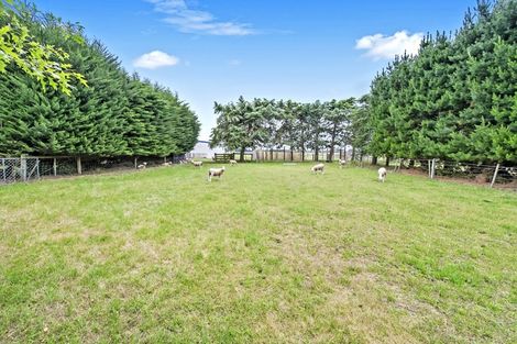 Photo of property in 658 Bethels Road, Springston, Christchurch, 7677