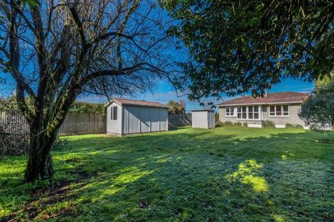 Photo of property in 238 Horndon Street, Darfield, 7510